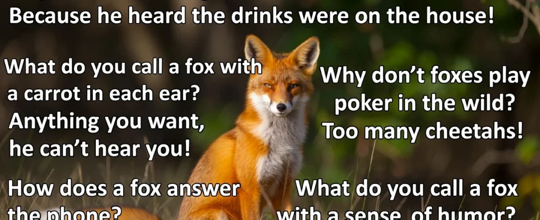 150+ Hilarious Fox Jokes That Will Make You Laugh Out Loud