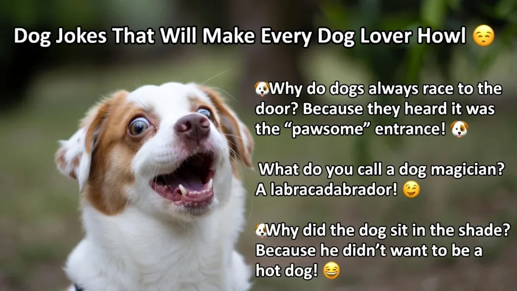 Classic Dog Humor That Never Gets Old