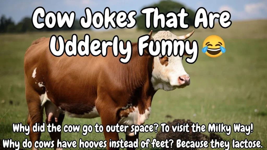 Cow Jokes That Are Udderly Funny 🐄😂