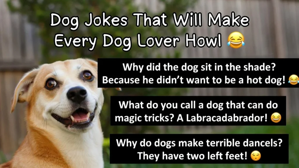 Dog Jokes That Will Make Every Dog Lover Howl 😂🐶