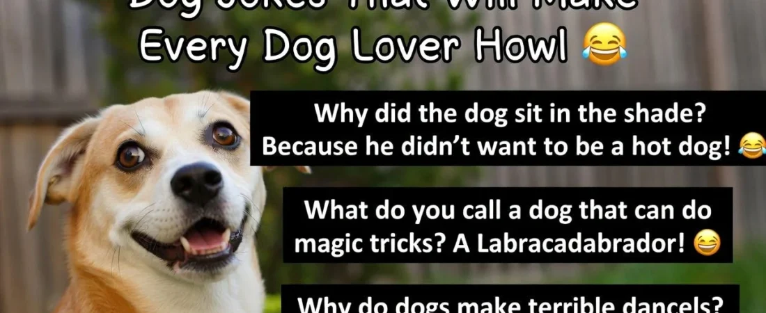 175+ Dog Jokes That Will Make Every Dog Lover Howl 😂🐶