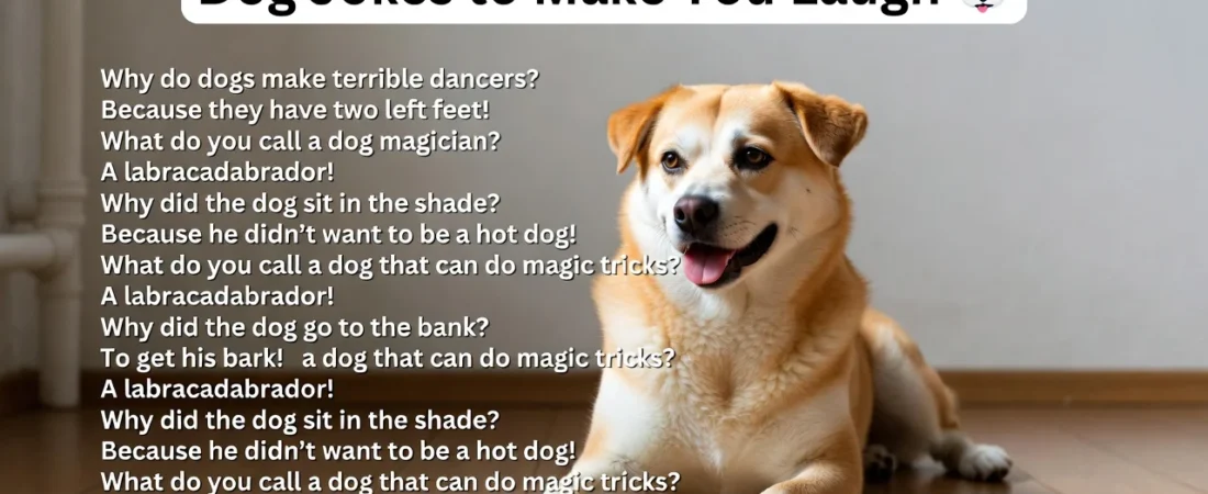 Paw-sitively Hilarious 141+Dog Jokes to Make You Laugh 🐾