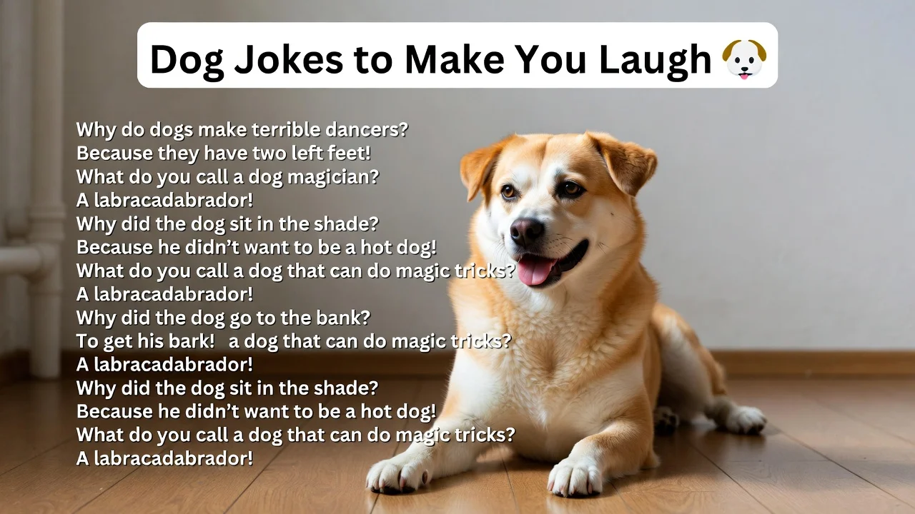 Dog Jokes to Make You Laugh 🐾