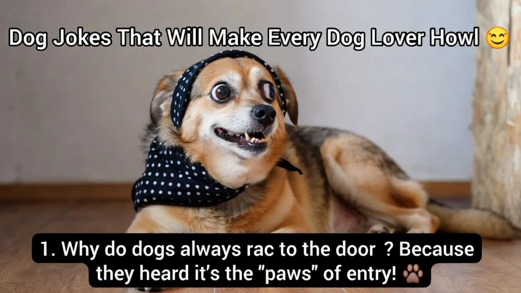 Dog Owner Jokes Everyone Understands
