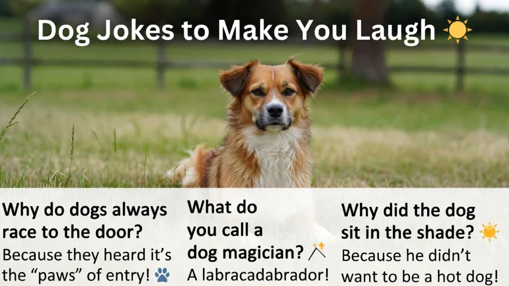 Dog Puns That Fetch Laughter 🎾