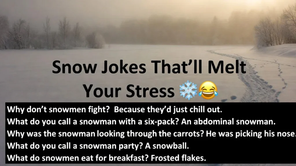Snow Jokes That’ll Melt Your Stress ❄️😂